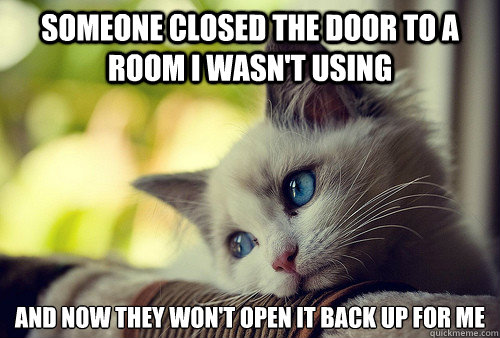 Someone closed the door to a room I wasn't using And now they won't open it back up for me  First World Problems Cat