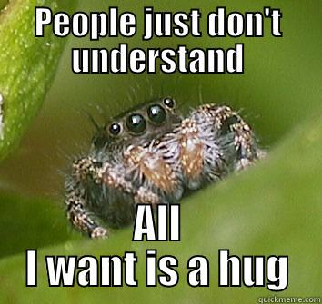 Lonely Spider... - PEOPLE JUST DON'T UNDERSTAND ALL I WANT IS A HUG Misunderstood Spider