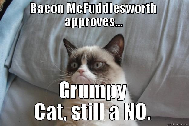 Still a No. - BACON MCFUDDLESWORTH APPROVES... GRUMPY CAT, STILL A NO. Grumpy Cat