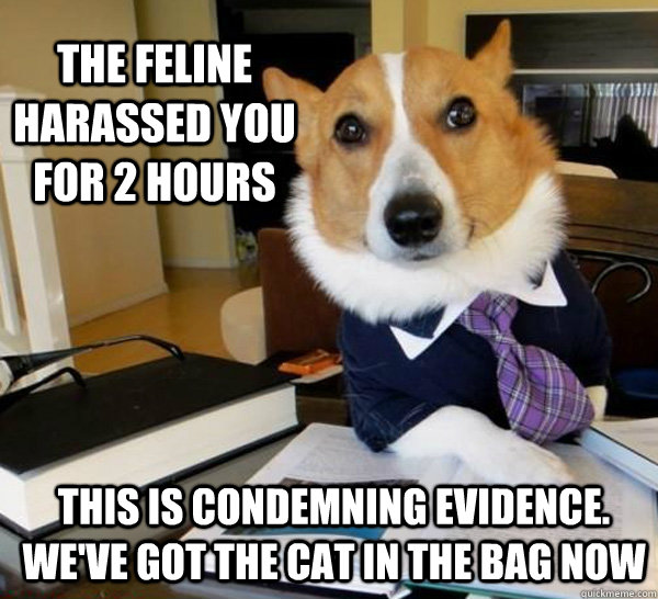 The feline harassed you for 2 hours This is condemning evidence. We've got the cat in the bag now  Lawyer Dog