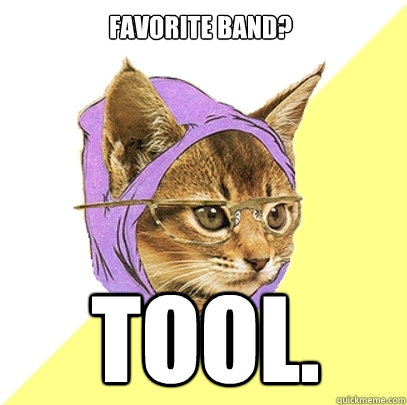 favorite band? tool. - favorite band? tool.  Hipster Kitty