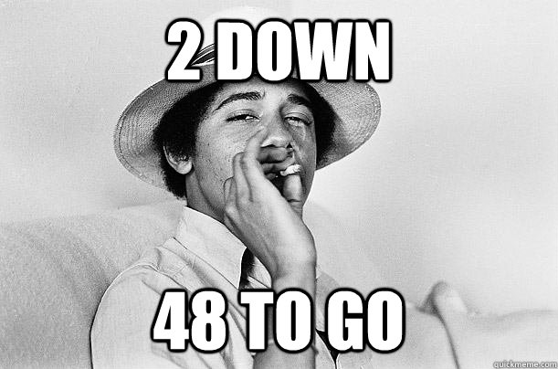 2 down 48 to go - 2 down 48 to go  Barack Obama SWAG