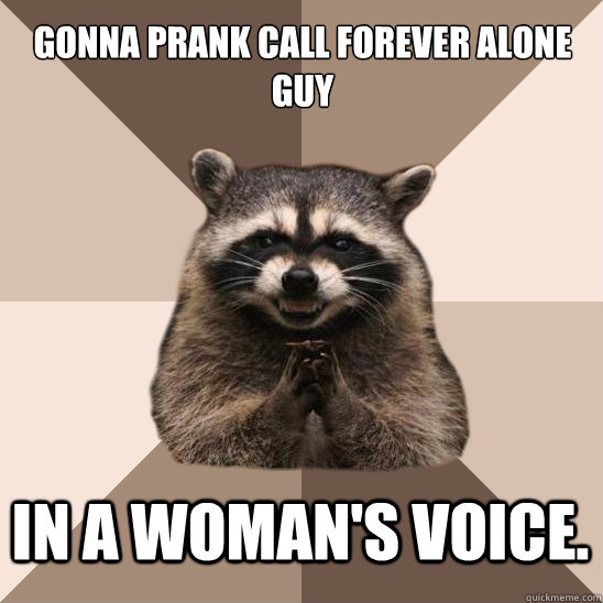 Gonna prank call forever alone guy In a woman's voice.  Evil Plotting Raccoon