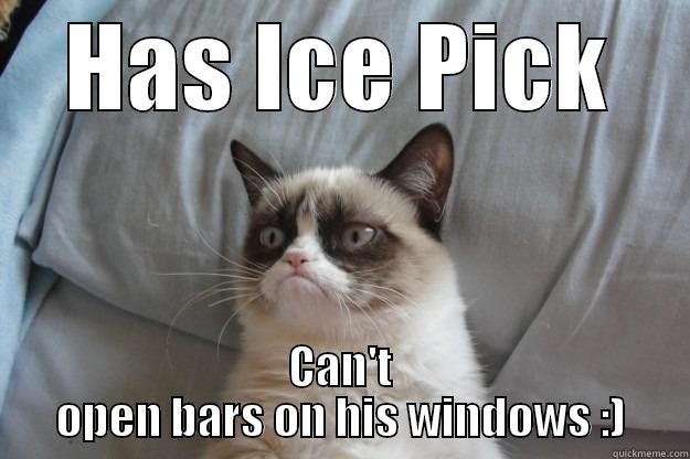 LOL XD. - HAS ICE PICK CAN'T OPEN BARS ON HIS WINDOWS :) Grumpy Cat