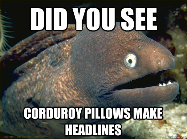 Did you see corduroy pillows make headlines  Bad Joke Eel