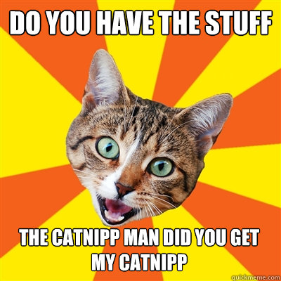 do you have the stuff the catnipp man did you get my catnipp  Bad Advice Cat