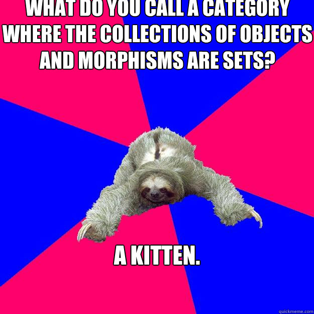 What do you call a category where the collections of objects and morphisms are sets? a kitten.  Math Major Sloth