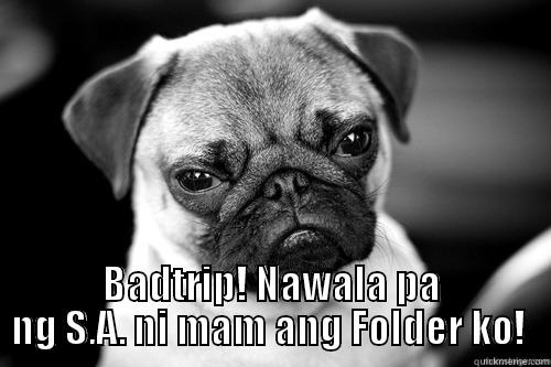 Angry doggie -  BADTRIP! NAWALA PA NG S.A. NI MAM ANG FOLDER KO!  Misc