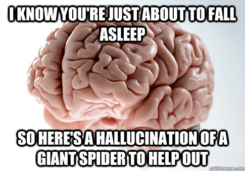 I know you're just about to fall asleep So here's a hallucination of a giant spider to help out  Scumbag Brain