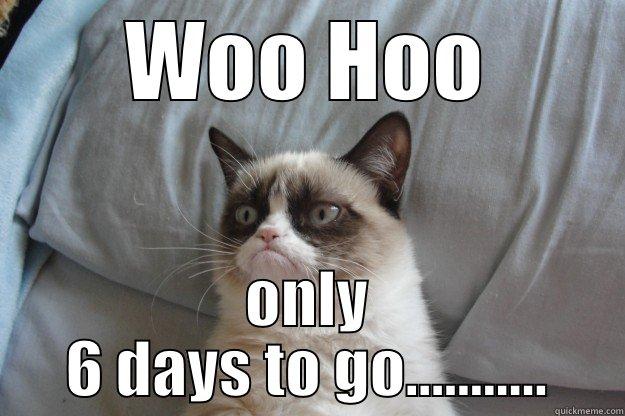 Happy to be at work, Not - WOO HOO ONLY 6 DAYS TO GO........... Grumpy Cat