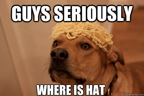 GUYS seriously where is hat  10 Dog