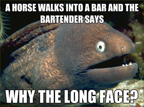 A horse walks into a bar and the bartender says Why the long face?  Bad Joke Eel