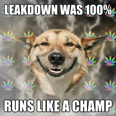 Leakdown was 100% Runs like a champ  Stoner Dog