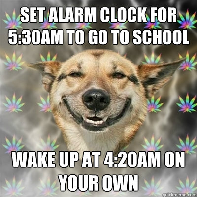 set alarm clock for 5:30am to go to school wake up at 4:20am on your own  Stoner Dog