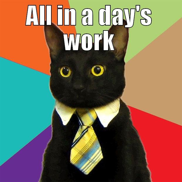 ALL IN A DAY'S WORK  Business Cat