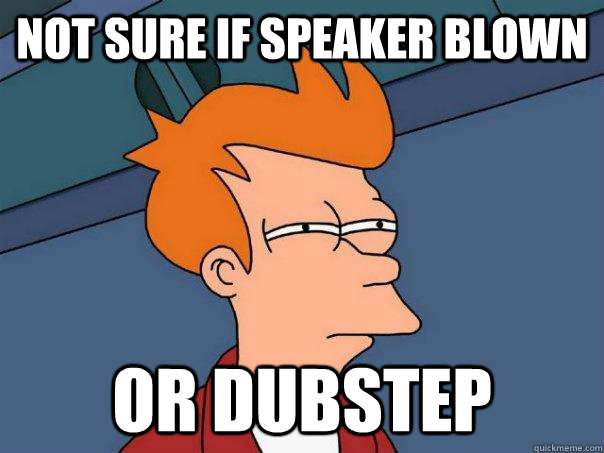 Not sure if speaker blown Or dubstep  Futurama Fry