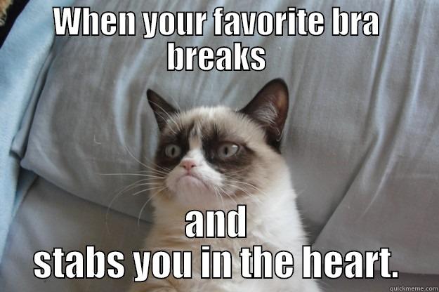 WHEN YOUR FAVORITE BRA BREAKS AND STABS YOU IN THE HEART. Grumpy Cat