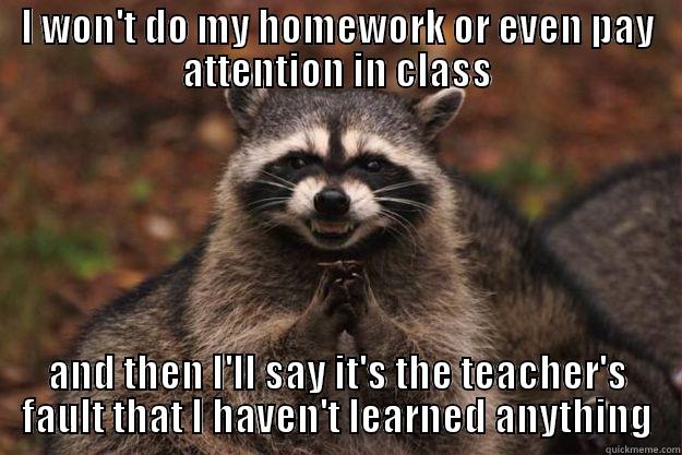 I WON'T DO MY HOMEWORK OR EVEN PAY ATTENTION IN CLASS AND THEN I'LL SAY IT'S THE TEACHER'S FAULT THAT I HAVEN'T LEARNED ANYTHING Evil Plotting Raccoon