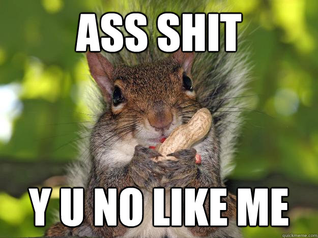 Ass Shit Y u no like me  Incorrectly Presumptuous Squirrel