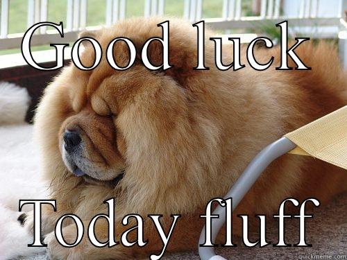 GOOD LUCK TODAY FLUFF Misc