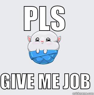 PLS  GIVE ME JOB Misc