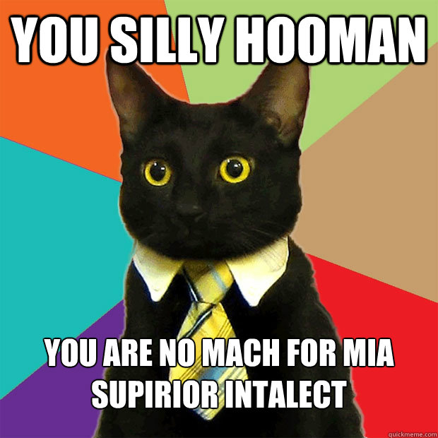 you silly hooman you are no mach for mia supirior intalect  Business Cat