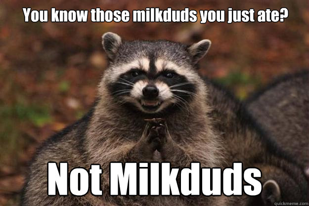 You know those milkduds you just ate? Not Milkduds - You know those milkduds you just ate? Not Milkduds  Evil Plotting Raccoon