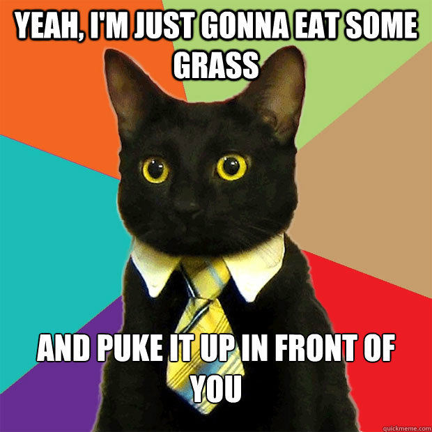 Yeah, i'm just gonna eat some grass and puke it up in front of you  Business Cat