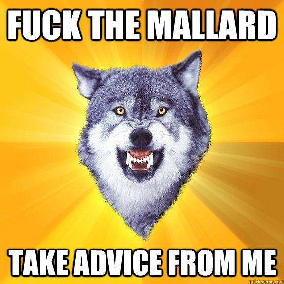 Fuck the mallard take advice from me  Courage Wolf