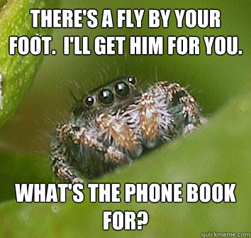 There's a fly by your foot.  I'll get him for you. What's the phone book for?  Misunderstood Spider