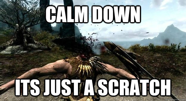 calm down its just a scratch - calm down its just a scratch  skyrim