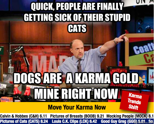 quick, people are finally getting sick of their stupid cats dogs are  a karma gold mine right now  Mad Karma with Jim Cramer