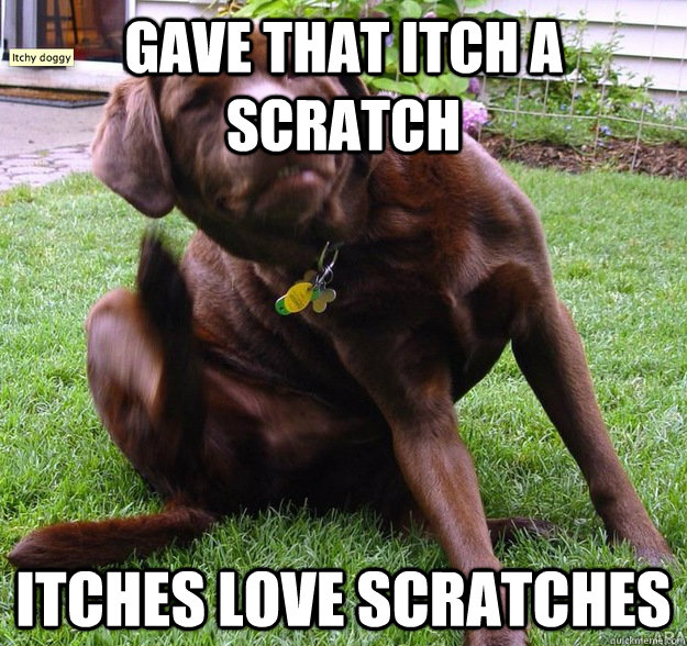 gave that itch a scratch itches love scratches - gave that itch a scratch itches love scratches  they love em