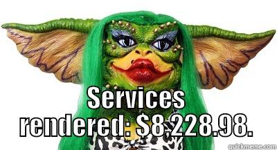  SERVICES RENDERED: $8,228.98. Misc