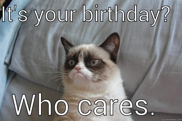 IT'S YOUR BIRTHDAY?   WHO CARES.  Grumpy Cat