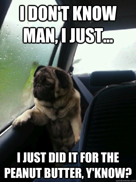 I don't know man, I just... I just did it for the peanut butter, y'know?  Introspective Pug