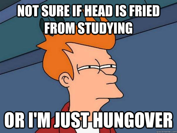 Not sure if head is fried from studying or i'm just hungover  Futurama Fry