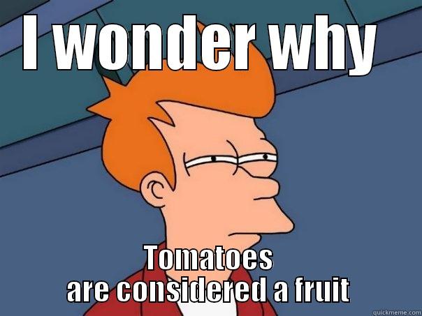 I WONDER WHY  TOMATOES ARE CONSIDERED A FRUIT Futurama Fry