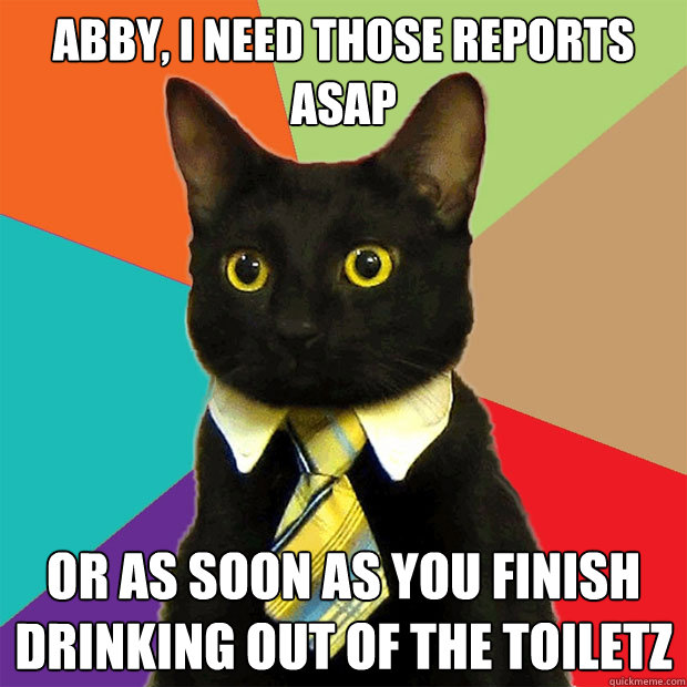 Abby, I need those reports ASAP or as soon as you finish drinking out of the toiletz  Business Cat