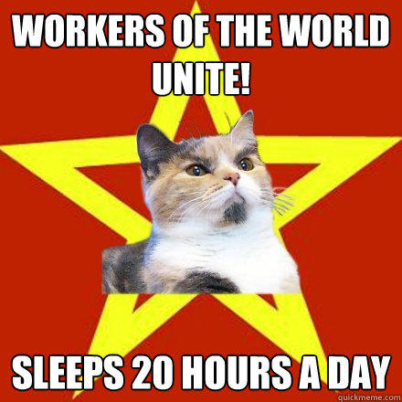 Workers of the world unite! sleeps 20 hours a day  