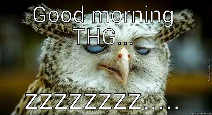 gdm owl - GOOD MORNING THG... ZZZZZZZZ..... Misc