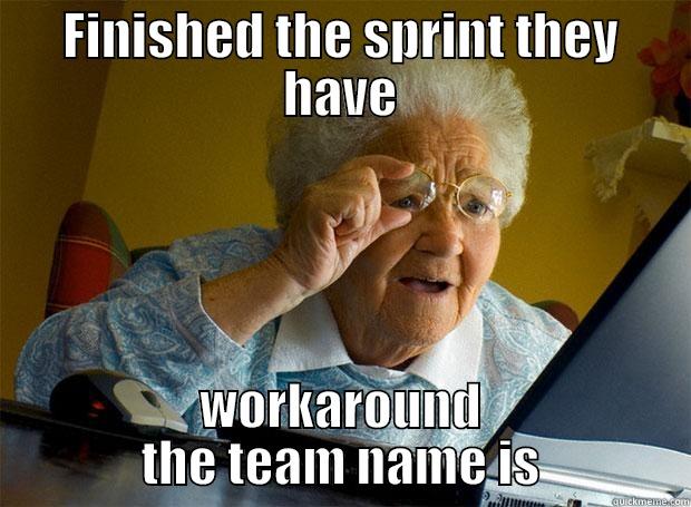 FINISHED THE SPRINT THEY HAVE WORKAROUND THE TEAM NAME IS Grandma finds the Internet