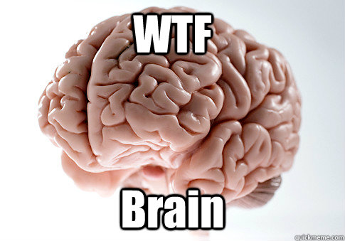 WTF Brain   Scumbag Brain