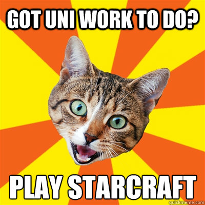 Got uni work to do? PLAY starcraft  Bad Advice Cat