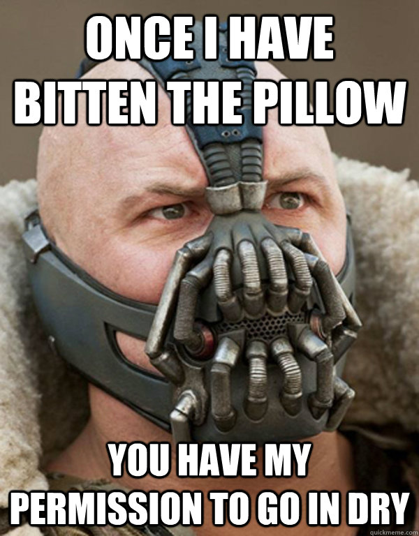 Once I have bitten the pillow  you have my permission to go in dry - Once I have bitten the pillow  you have my permission to go in dry  Bane