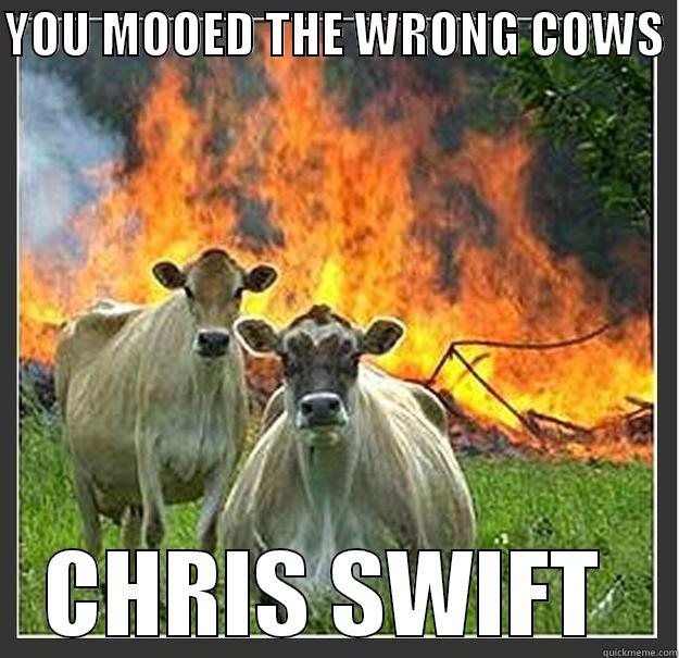 YOU MOOED THE WRONG COWS  CHRIS SWIFT  Evil cows