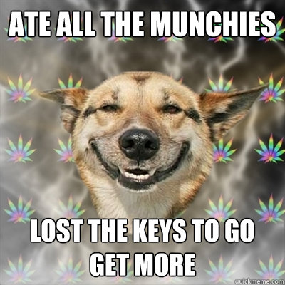 ate all the munchies lost the keys to go get more  Stoner Dog