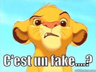 simba fake diora -    C'EST UN FAKE....? Misc