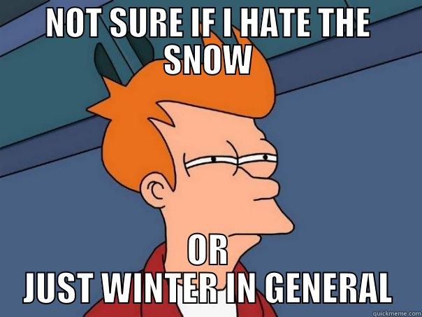 NOT SURE IF I HATE THE SNOW OR JUST WINTER IN GENERAL Futurama Fry