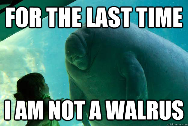 For the last time I am not a walrus - For the last time I am not a walrus  Overlord Manatee